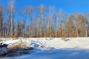 Tbdxx Lake Ave, McGregor, MN 55760 - Photo 1