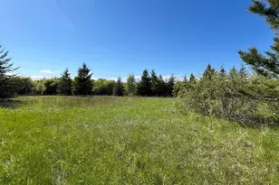 Lot 3 - Tbd 330th St, Warroad, MN 56763 - Photo 1