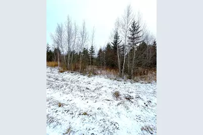 Lot 4 - Tbd 330th Street, Warroad, MN 56763 - Photo 7