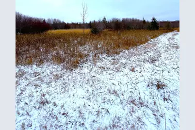 Lot 4 - Tbd 330th Street, Warroad, MN 56763 - Photo 9