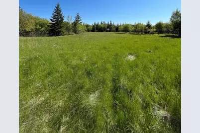 Lot 4 - Tbd 330th Street, Warroad, MN 56763 - Photo 5