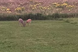 1800 20th Ave Circle NE, Kasson, MN 55944 - Photo 61