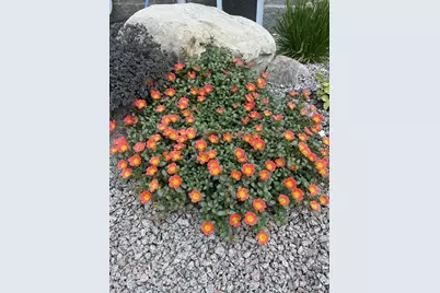 28297 Saint Croix Road, Pine City, MN 55063 - Photo 53