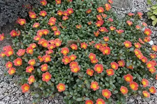 28297 St Croix Rd, Pine City, MN 55063 - Photo 53