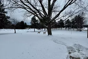 3663 125th Ave NE, Blaine, MN 55449 - Photo 23