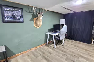 311 Big Woods Ln, Annandale, MN 55302 - Photo 29