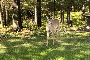 1520 Hunter Hill Rd, Hudson, WI 54016 - Photo 43