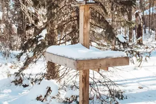 14400 Clearwater Ct, Baxter, MN 56425 - Photo 25