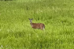 Xxxx 280th Street E, Webster, MN 55088 - Photo 1