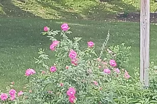 14748 Limonite St NW, Ramsey, MN 55303 - Photo 17