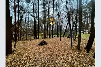 1113 2nd Avenue, Howard Lake, MN 55349 - Photo 3