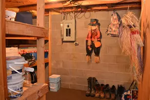 3557 Skyline Dr, Red Wing, MN 55066 - Photo 25