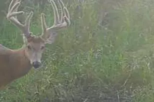 Tbd Co Hwy 73, Deer Creek, MN 56527 - Photo 1
