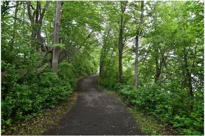 8487 Rice Lake Road, Maple Grove, MN 55369 - Photo 31