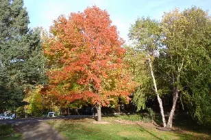 33530 446th Pl, Aitkin, MN 56431 - Photo 47