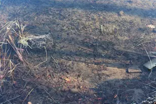 33530 446th Pl, Aitkin, MN 56431 - Photo 43