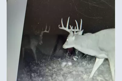 21286 345th Street, Erhard, MN 56534 - Photo 69