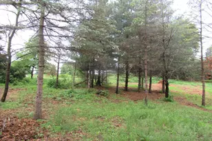 17295 Ward Lake Dr NW, Andover, MN 55304 - Photo 37