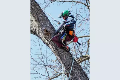 5616 46th Avenue S, Minneapolis, MN 55417 - Photo 43