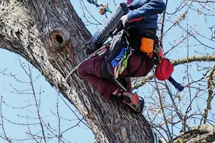 5616 46th Ave S, Minneapolis, MN 55417 - Photo 43