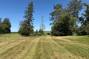 44028 220th St, Roseau, MN 56751 - Photo 13