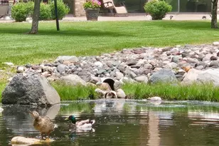 2240 Midland Grove Rd, Roseville, MN 55113 - Photo 29