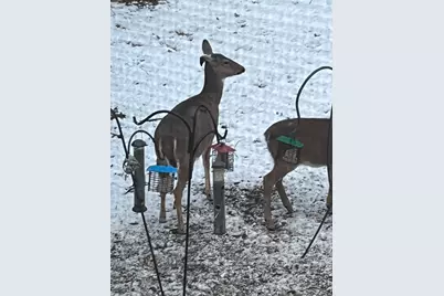 1135 1st Street NW, Oronoco, MN 55960 - Photo 51