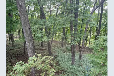 1135 1st Street NW, Oronoco, MN 55960 - Photo 55