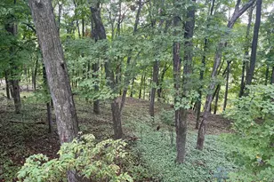 1135 1st St NW, Oronoco, MN 55960 - Photo 55