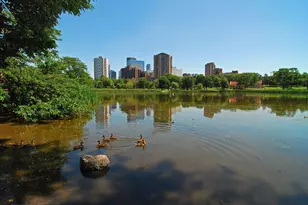 821 Douglas Ave, Minneapolis, MN 55403 - Photo 31