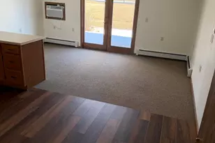 611 Main St S, Renville, MN 56284 - Photo 3