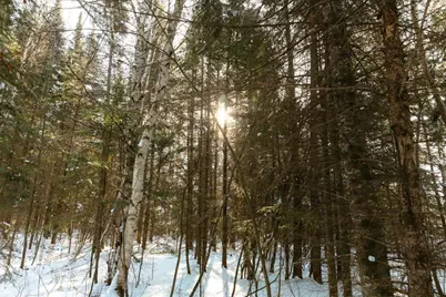 6100 Herranen Road, Cromwell, MN 55726 - Photo 29