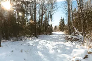 6100 Herranen Rd, Cromwell, MN 55726 - Photo 33