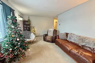 611 Evergreen St, Thief River Falls, MN 56701 - Photo 9