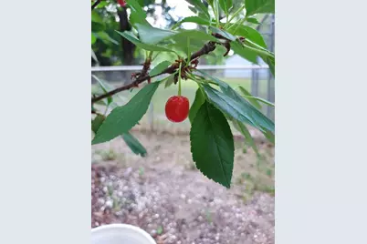 548 Doris Avenue, Shoreview, MN 55126 - Photo 39