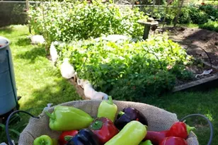 548 Doris Ave, Shoreview, MN 55126 - Photo 43