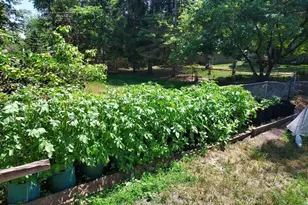 548 Doris Ave, Shoreview, MN 55126 - Photo 45