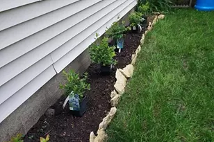 548 Doris Ave, Shoreview, MN 55126 - Photo 31