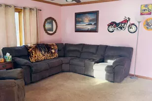 151 Draco Ave E, Cosmos, MN 56228 - Photo 9