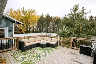 11343 545th Ave, Cosmos, MN 56228 - Photo 3