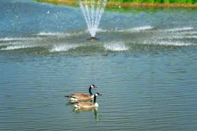 2110 Amanda Way, Hudson, WI 54016 - Photo 5