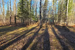 30466 Serenity Trl, Effie, MN 56639 - Photo 25