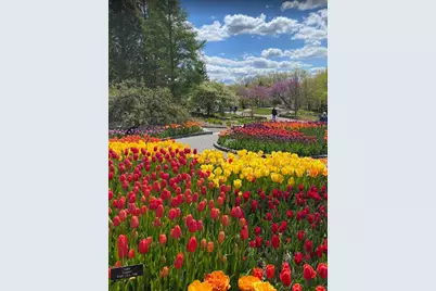 1733 Oak Creek Pass, Chaska, MN 55318 - Photo 43