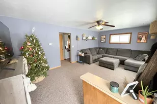 519 N Van Buren Ave, Springfield, MN 56087 - Photo 5