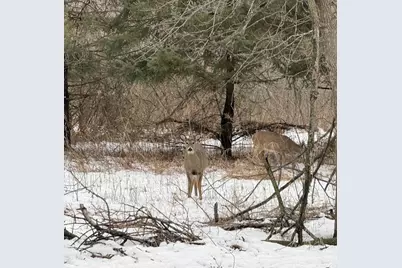 10025 Russell Avenue N #2, Brooklyn Park, MN 55444 - Photo 5
