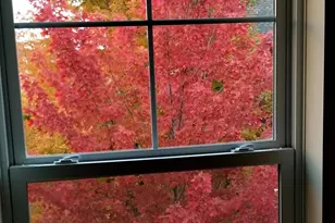 12303 82nd Ave N, Maple Grove, MN 55369 - Photo 39