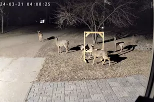 5334 State Hwy 27 W, Alexandria, MN 56308 - Photo 31