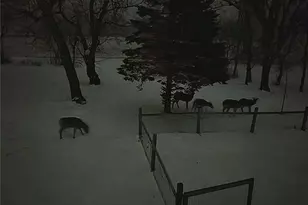 5334 State Hwy 27 W, Alexandria, MN 56308 - Photo 29