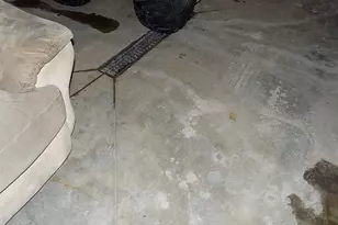 631 10th St, Lafayette, MN 56054 - Photo 45