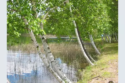 W8804 Deeper Lake Road, Minong, WI 54859 - Photo 31